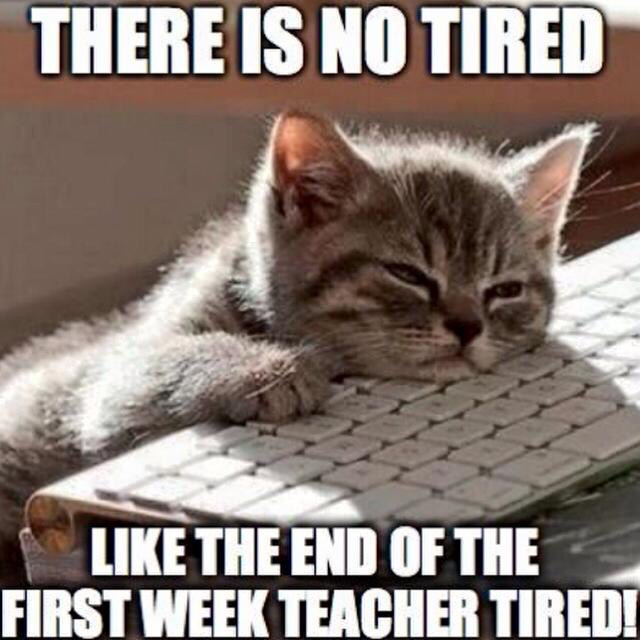 First-Week-Tired