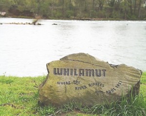 WilhamutRock