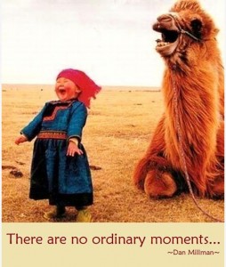 There-are-no-ordinary-moments